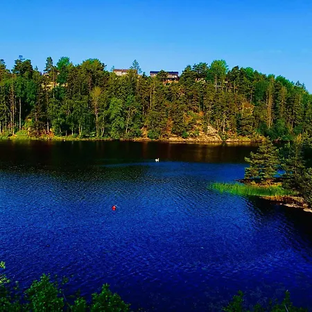 Lakeside Moss